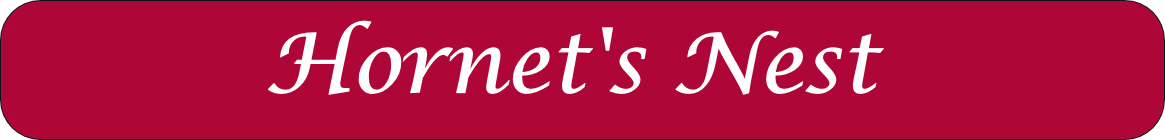 Hornet's Nest