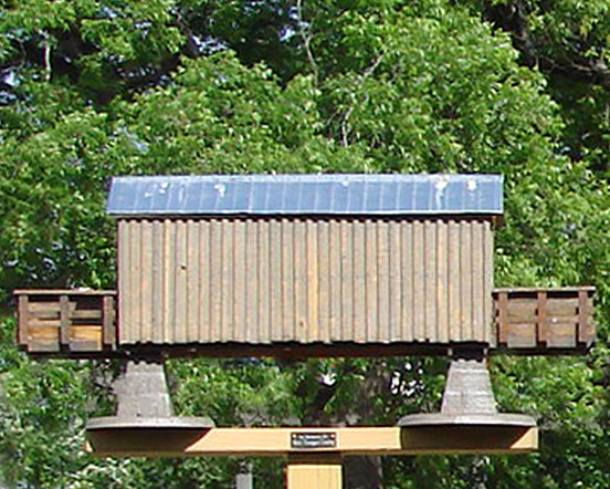 Elder Bird Bird House